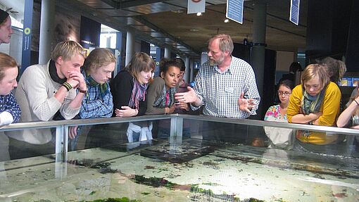 Wale, Watt und Weltnaturerbe