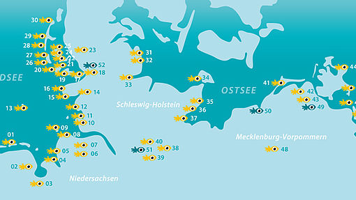 Geh mit uns auf Entdeckungstour!