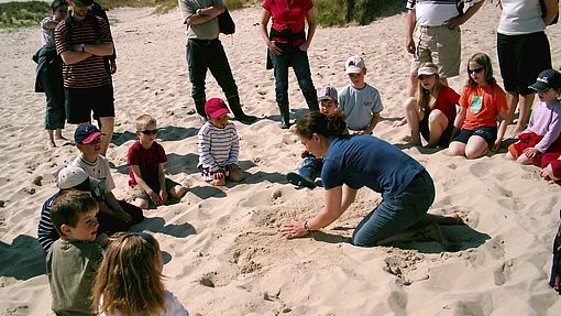 Praktikantin oder Praktikant werden
