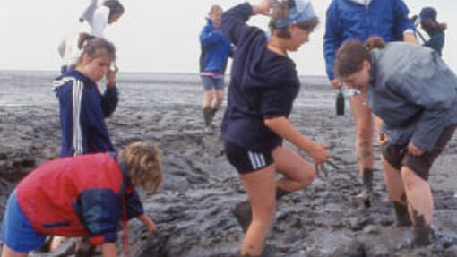 Watt nutzen. Watt schützen.