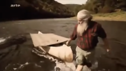 Das Geheimnis der Aale – Lebensweise des geheimnisvollen Fischs