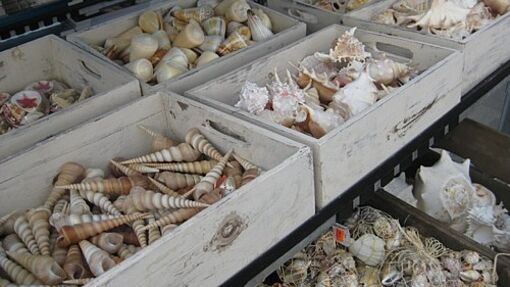 Bewusstes Kaufverhalten