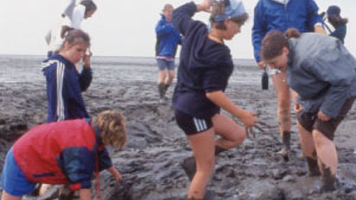 Praktika, FÖJ und Freiwilligendienst